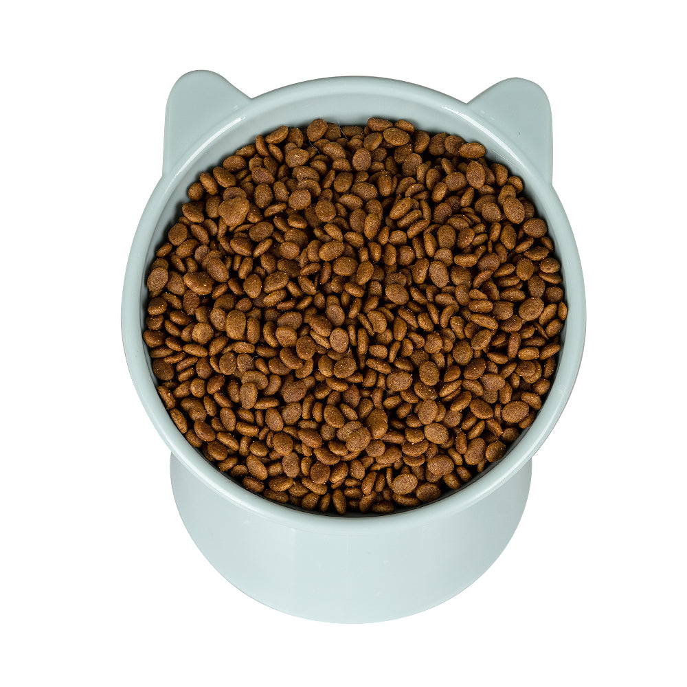 Pet Feeder Bowl