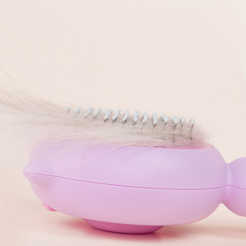 Pet Grooming Brush with Handle