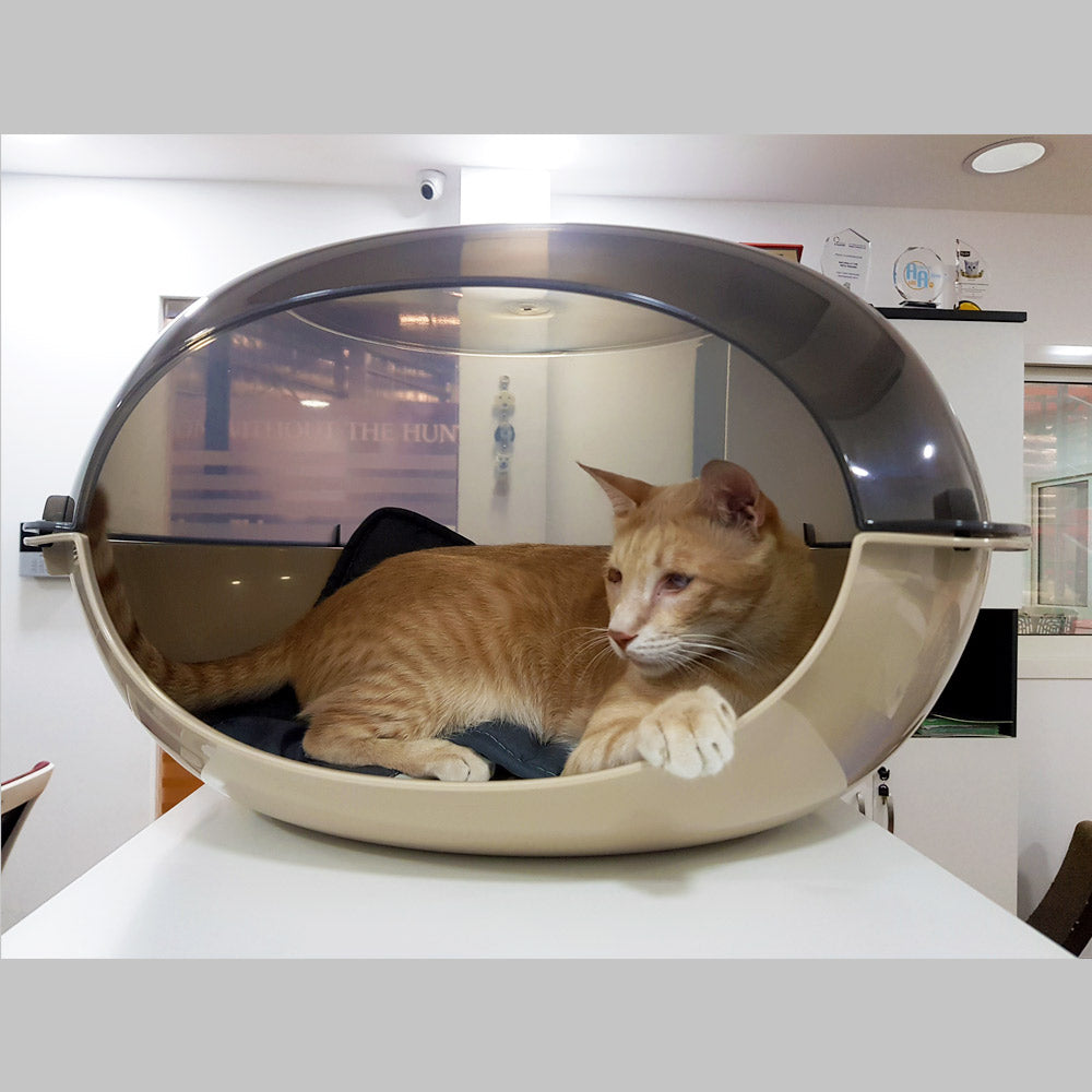 Kennel for Pets – Cuccia Luna