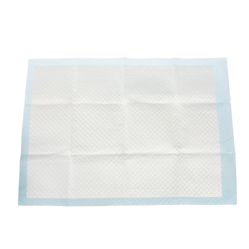 Pet Training Mat