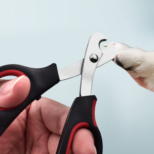 Pet Nail Clipper 3 per pack