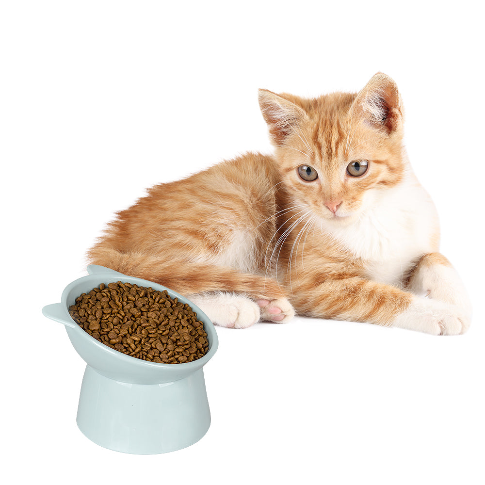 Pet Feeder Bowl