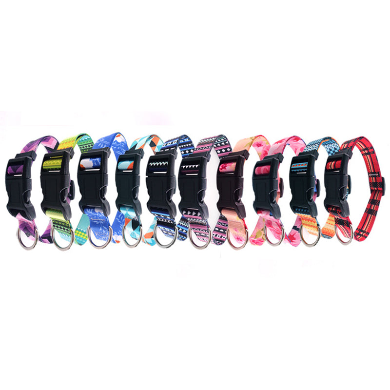 Pet Collar Colorful Pattern 4per pack (Random Colors)