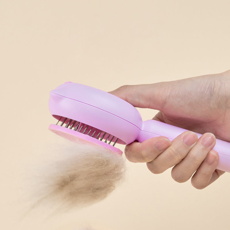 Pet Grooming Brush with Handle