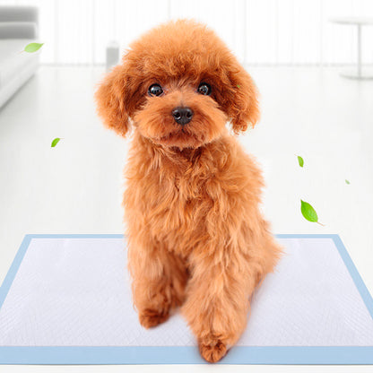 Pet Training Mat